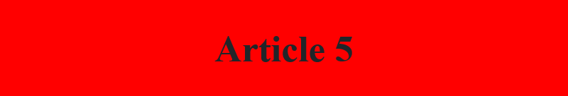 Article 5