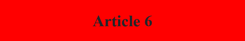 Article 6